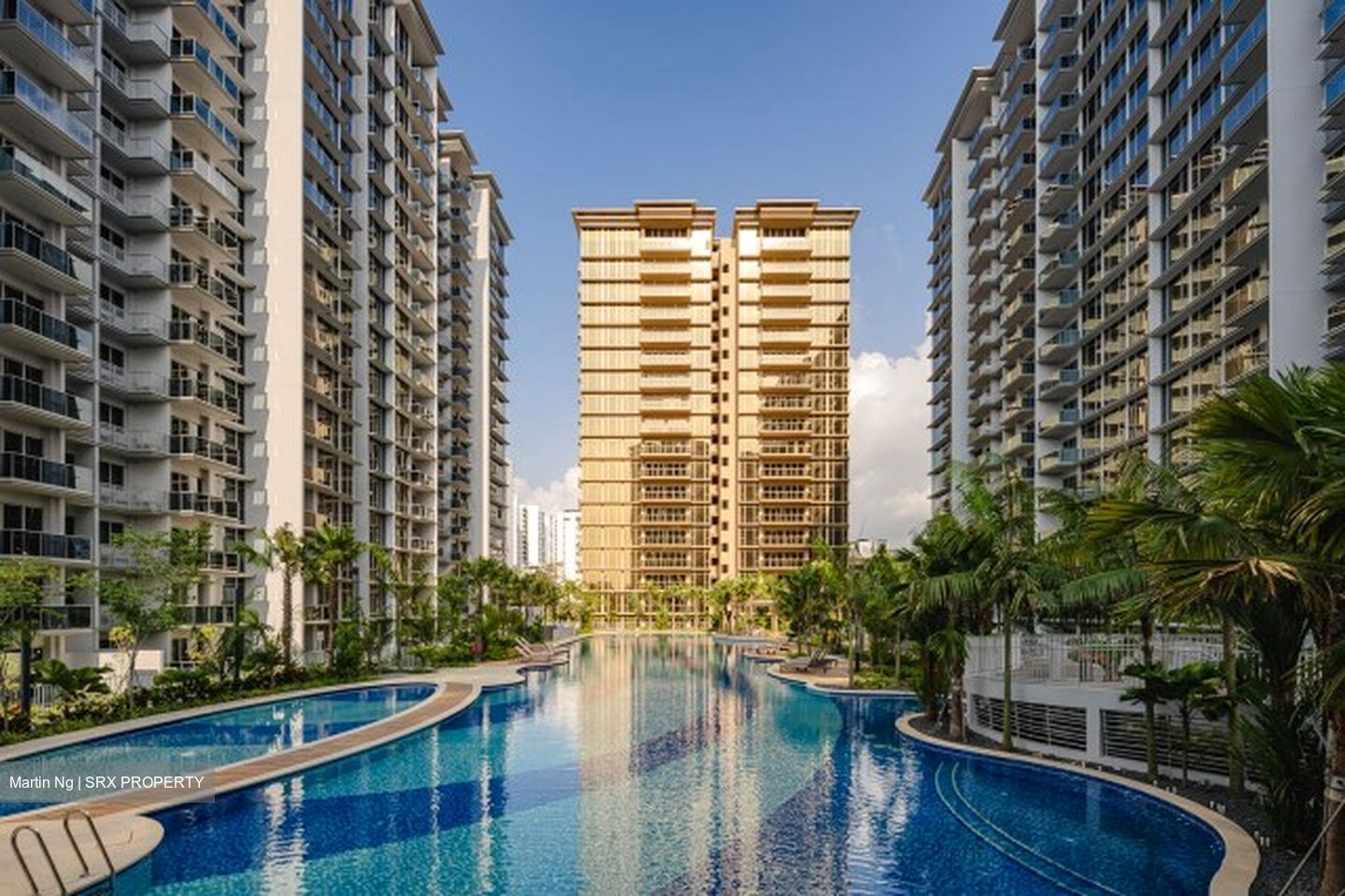 Grand Dunman (D15), Apartment #621550051